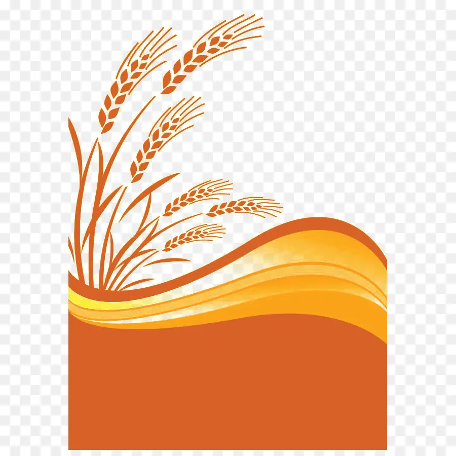 Buğday，Mısır Gevreği PNG