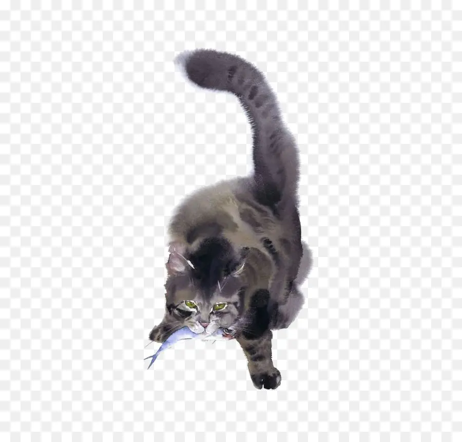 Balıklı Kedi，Gri Kedi PNG