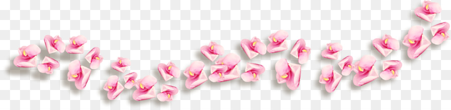 çiçek，Resim Çerçeveleri PNG