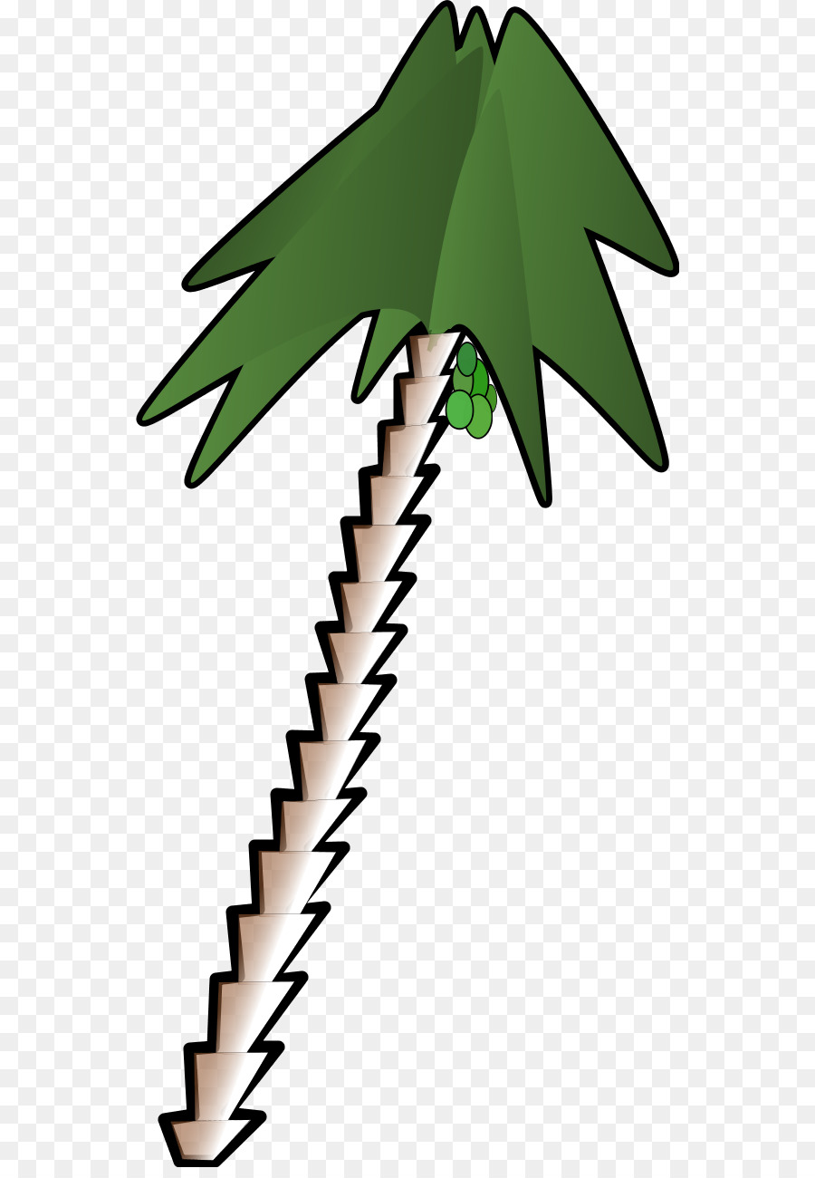 Arecaceae，Karikatür PNG