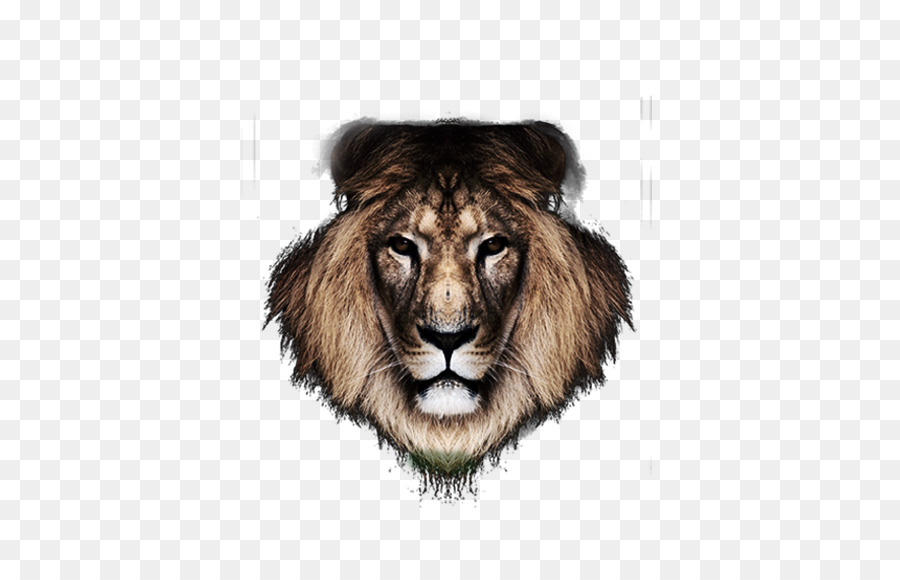 Aslan，Yele PNG