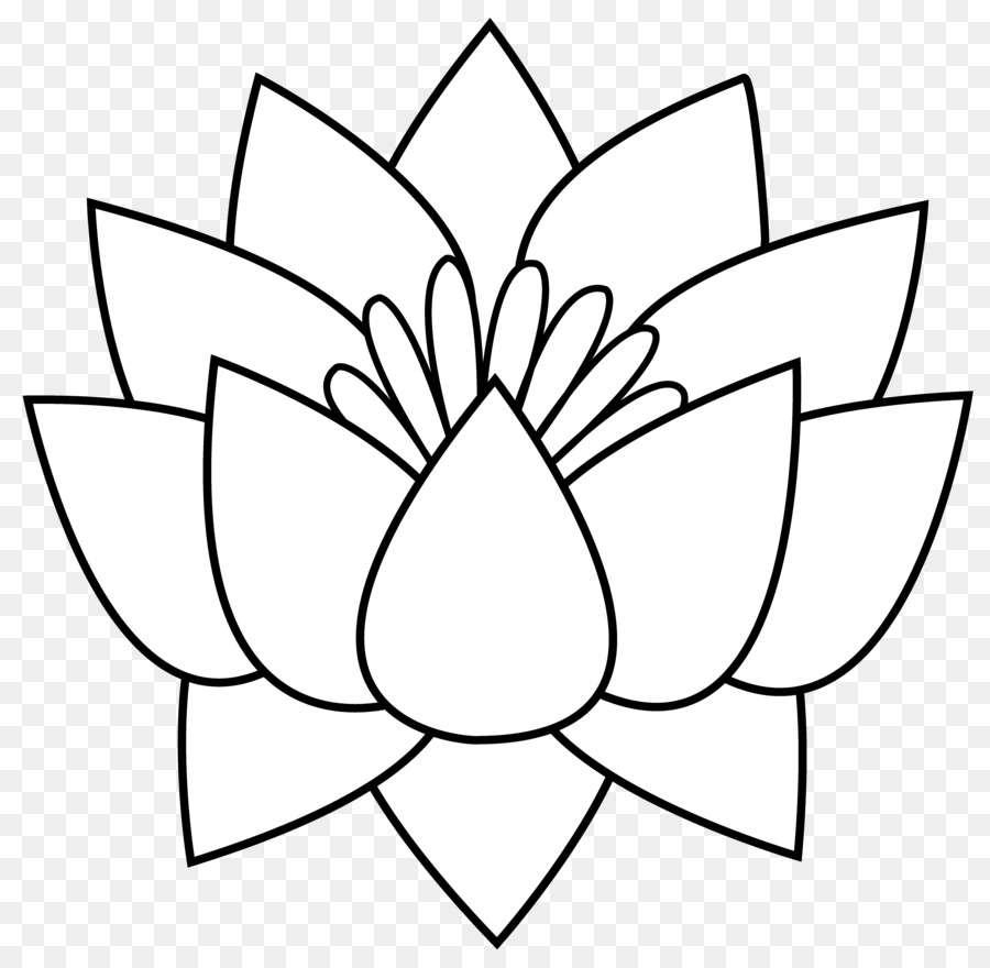 Lotus，Taslak PNG