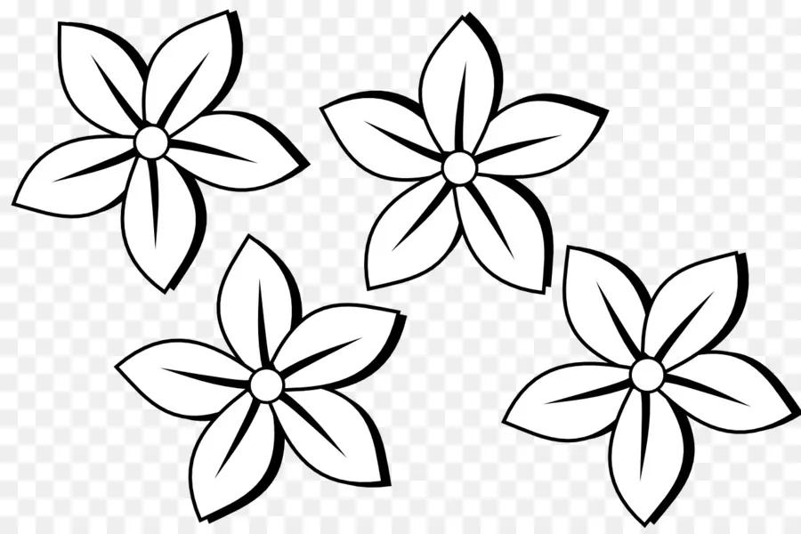 çiçek，Siyah Ve Beyaz PNG