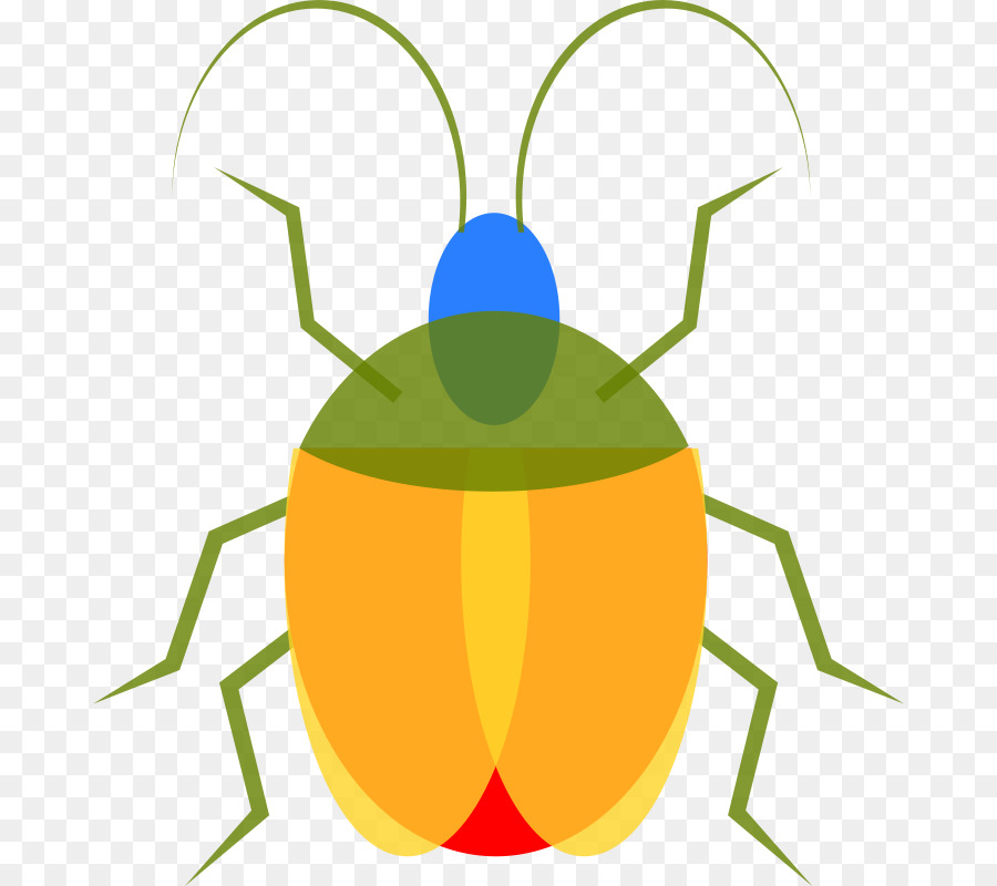 Böcek，Ücretsiz Içerik PNG