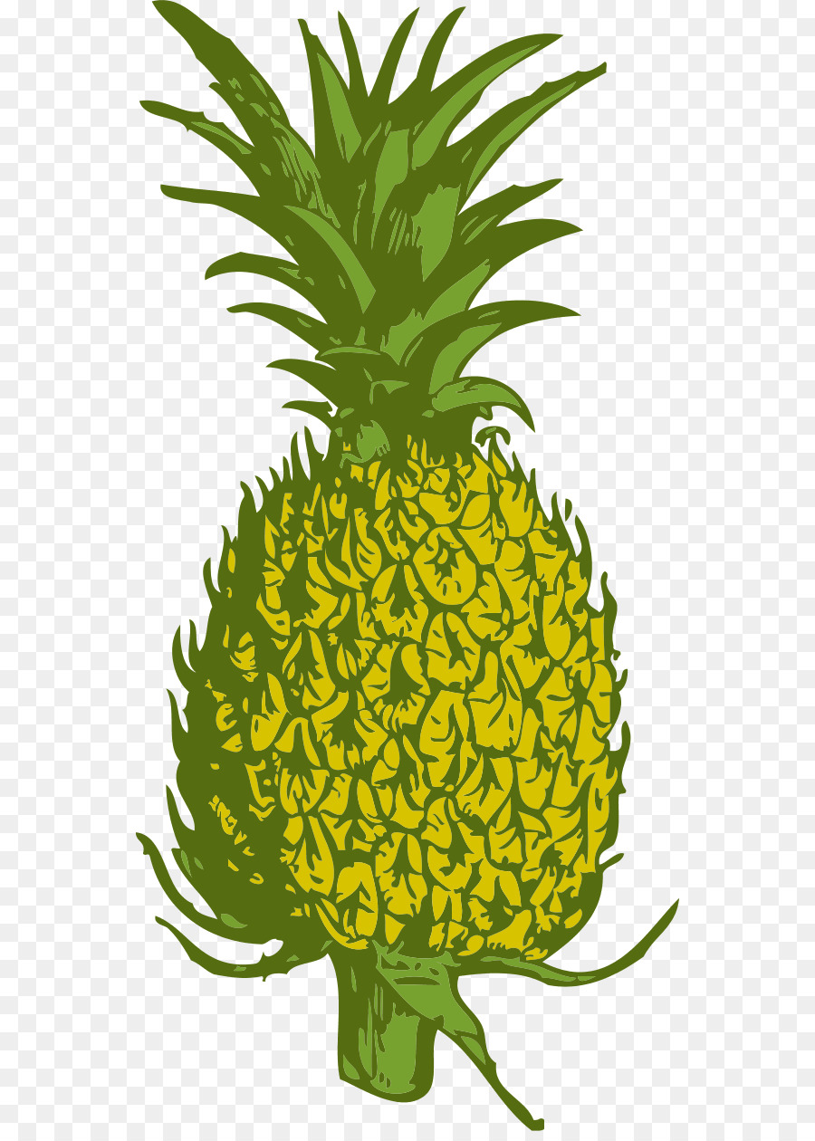 Ananas，Siyah Ve Beyaz PNG