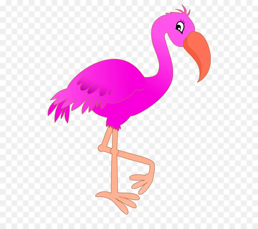 Pembe Flamingo，Hayvan PNG