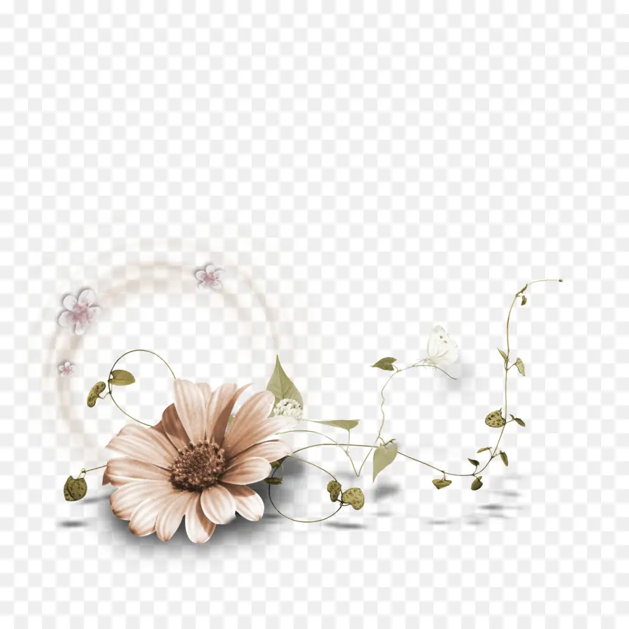 Resim Çerçeveleri，çiçek PNG