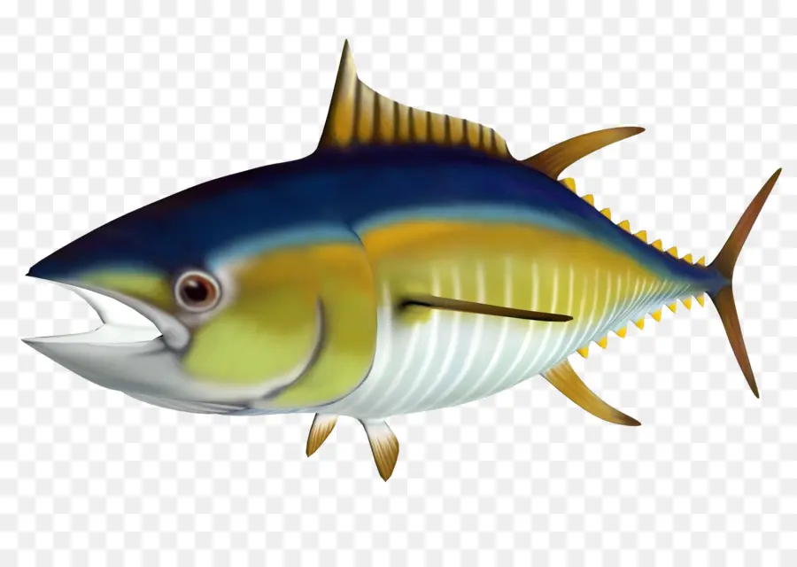 Tuna，Atlantik Bluefin Ton Balığı PNG