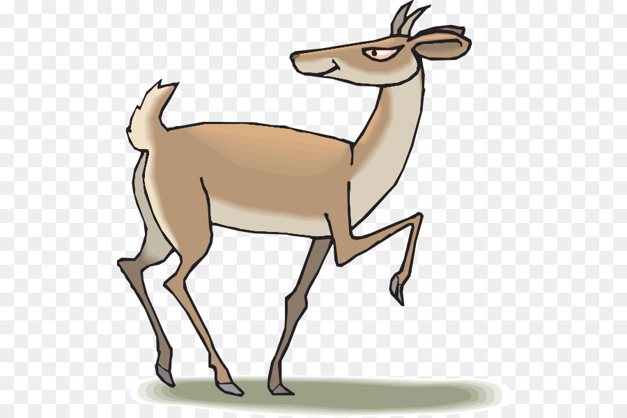 Antilop，Pronghorn Tepesine PNG