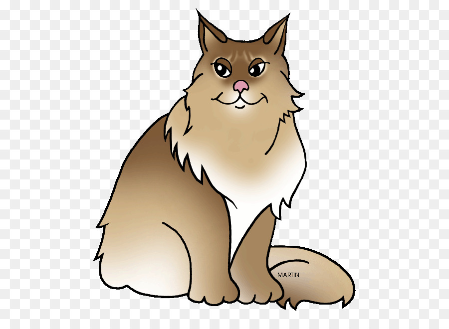 Maine Coon，Maine Maine PNG