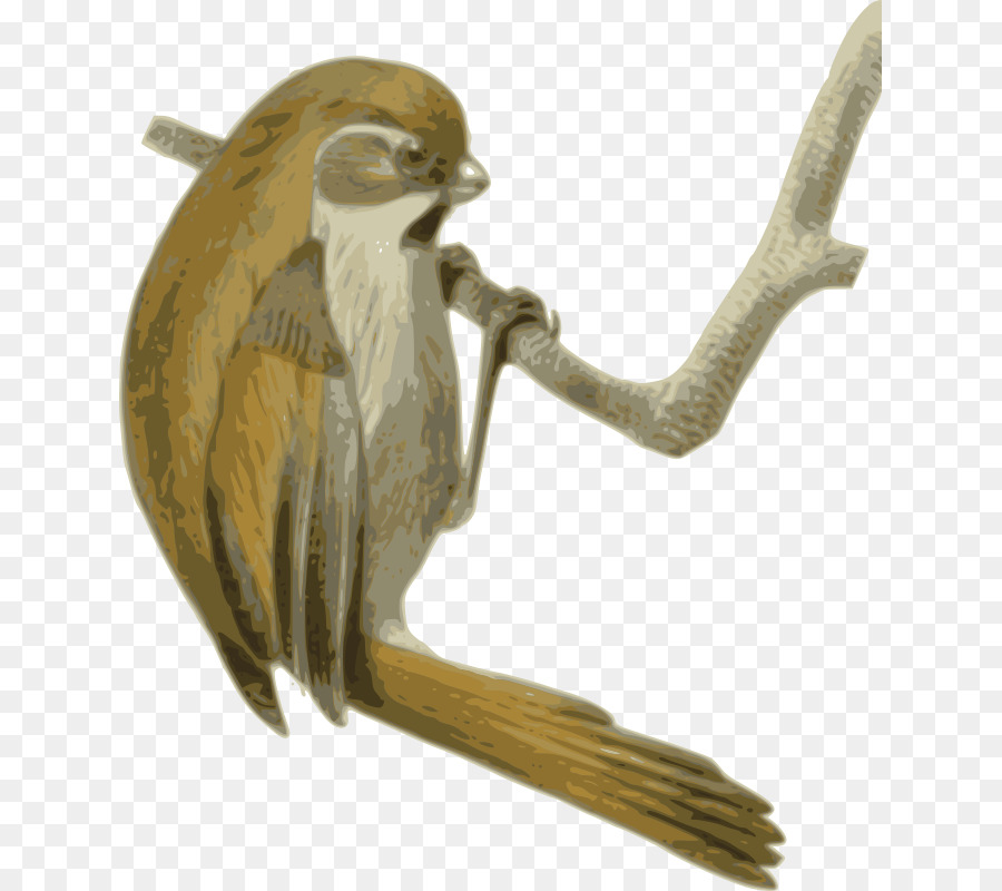 Altın Parrotbill，Ötücü Kuş PNG