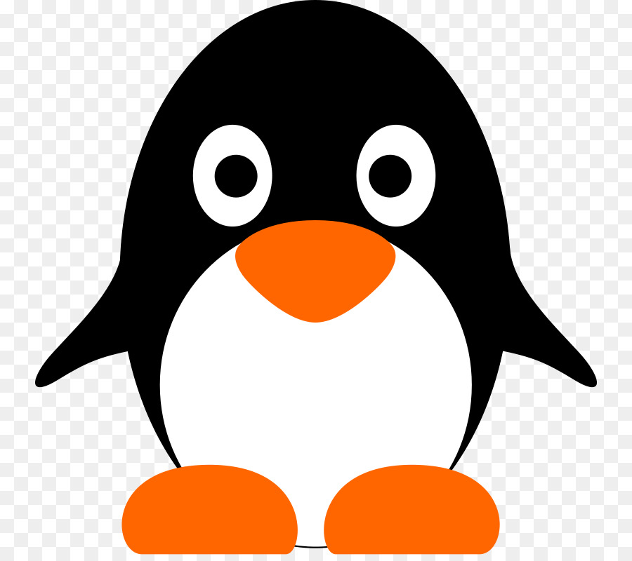 Penguen，Kuş PNG