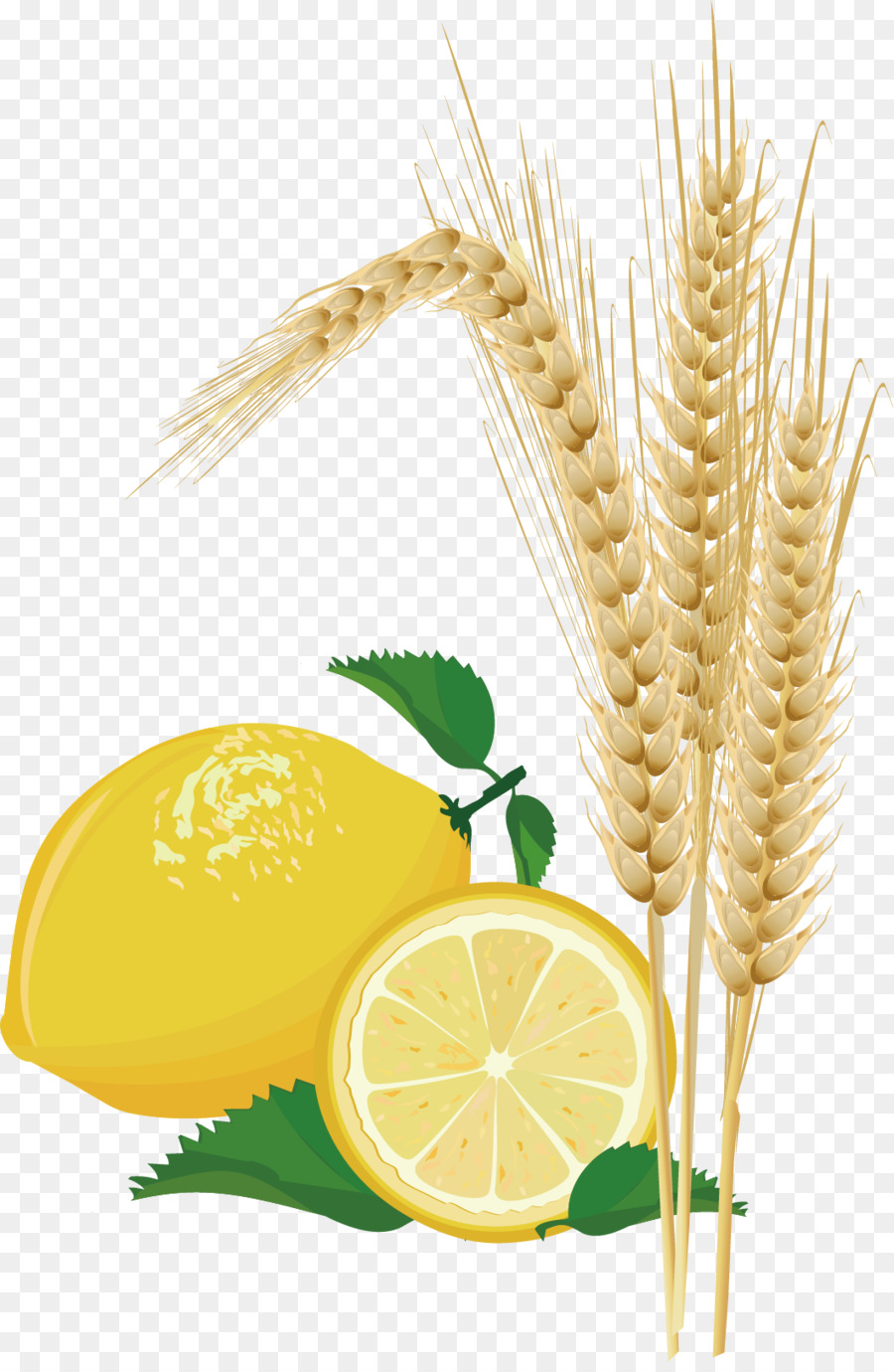 Limon Ve Buğday，Limon PNG