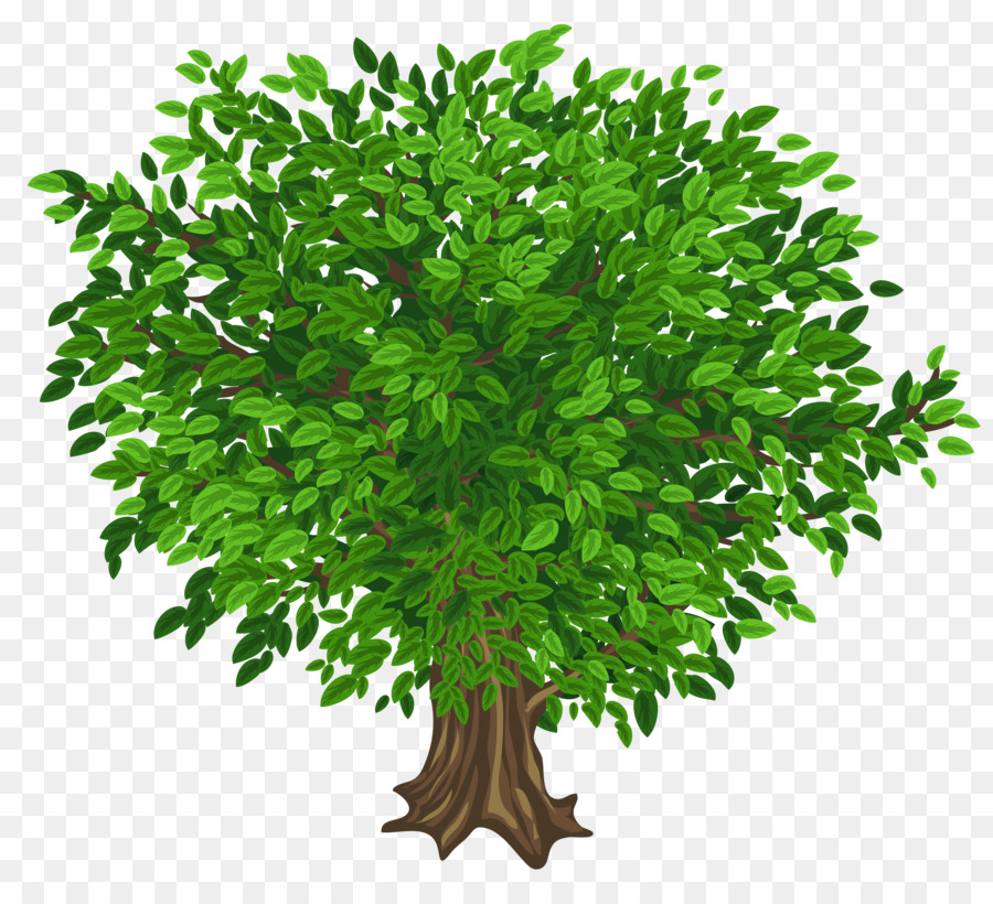 Ağaç，Ücretsiz Içerik PNG