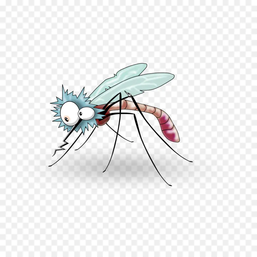 Sivrisinek，Böcek PNG