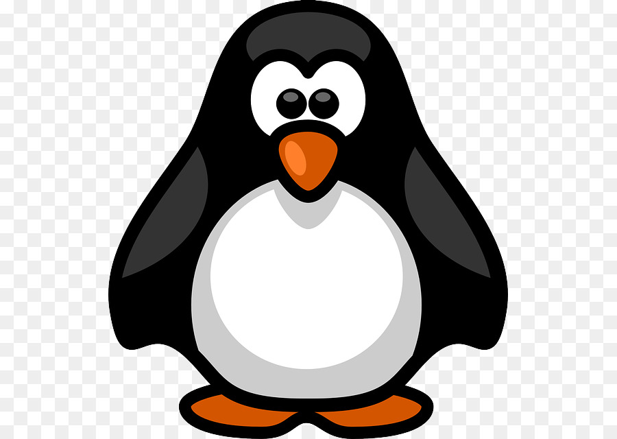 Penguen，Kuş PNG