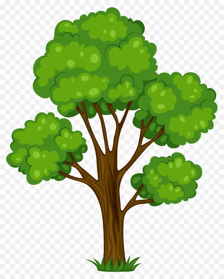 Ağaç，Ücretsiz Içerik PNG