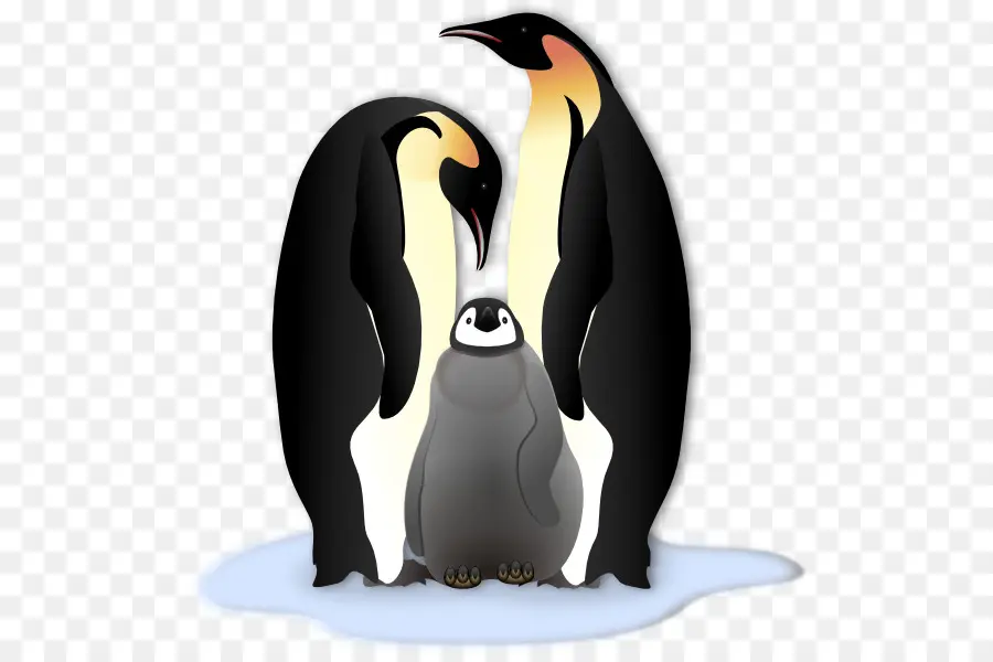 Penguenler，Aile PNG