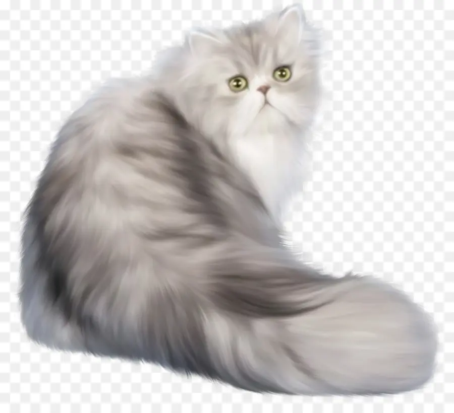 Kedi，Evcil Hayvan PNG