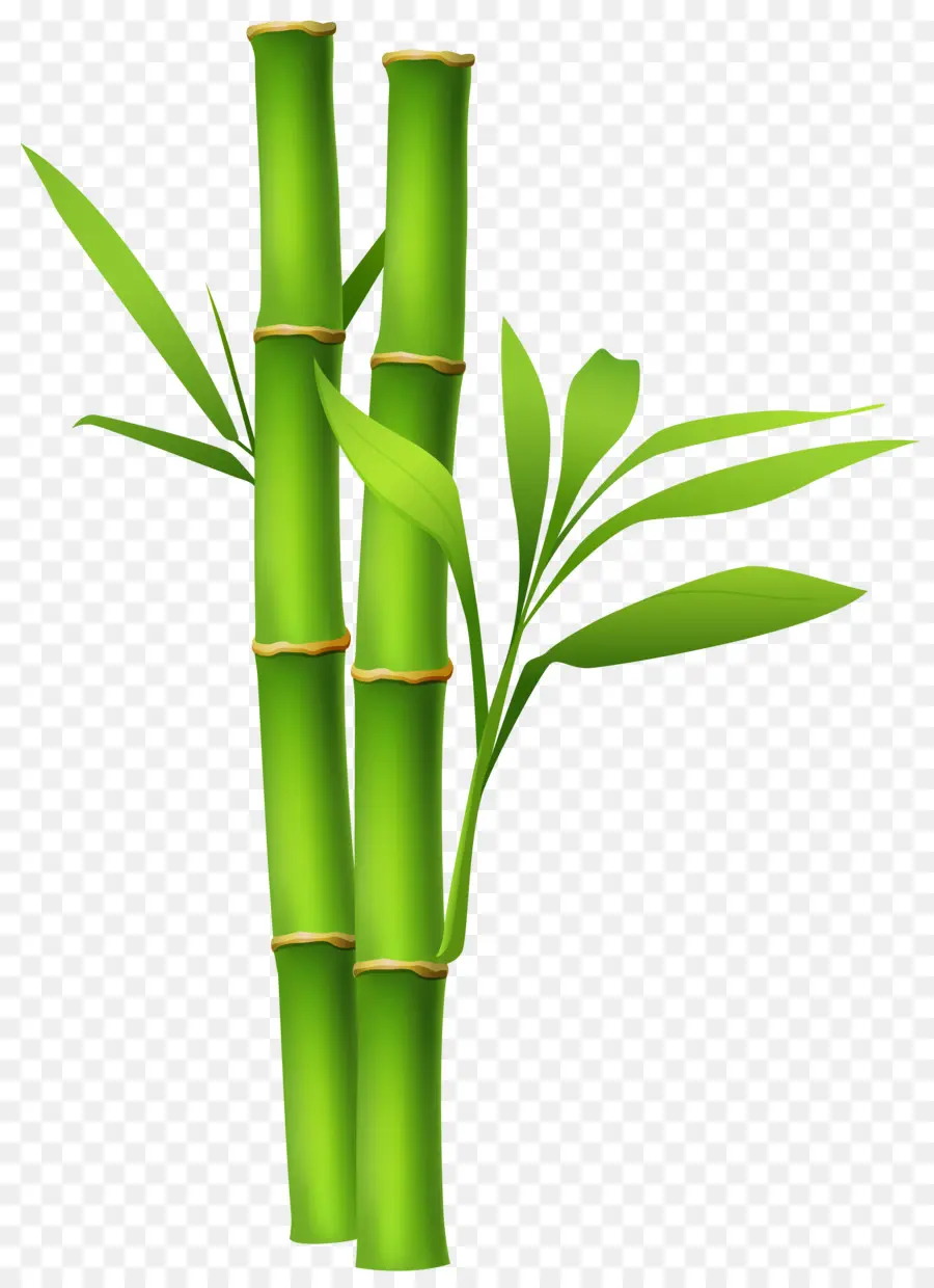 Bambu，Sunum PNG