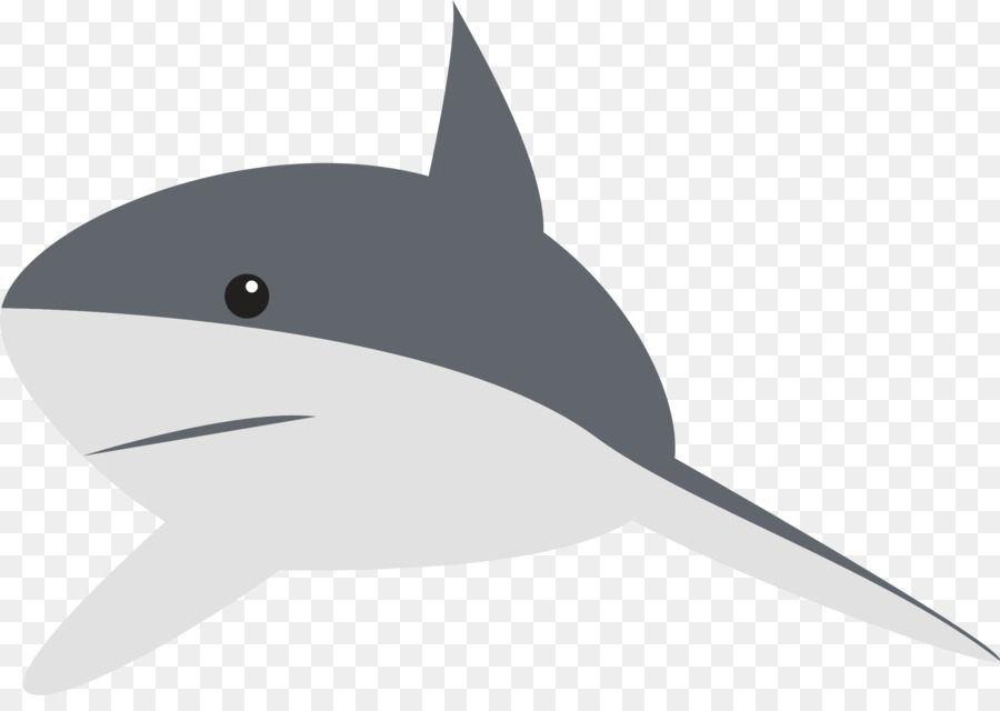Köpekbalığı，Animasyon PNG