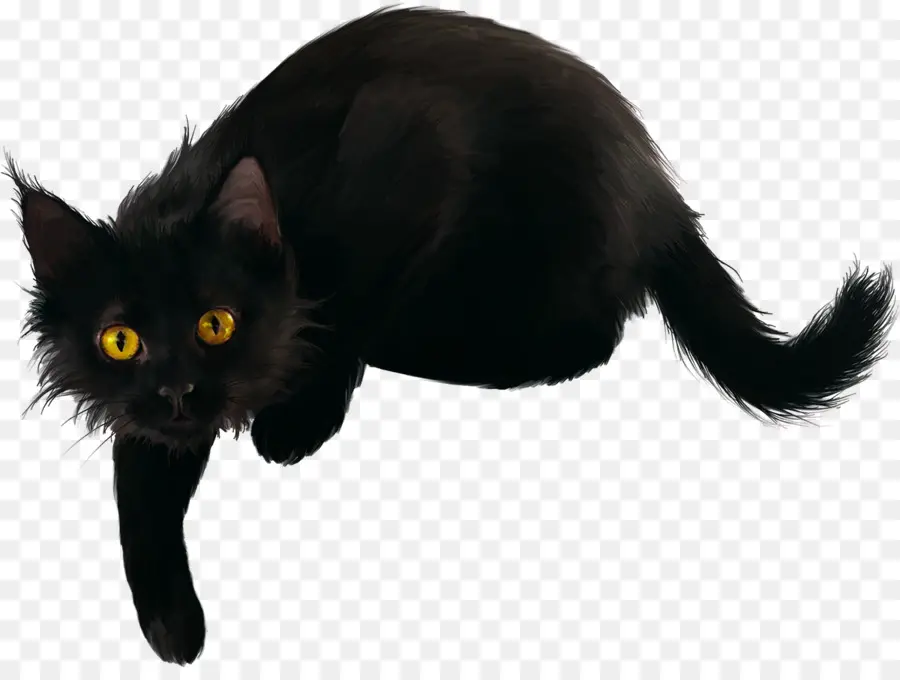 Kara Kedi，Evcil Hayvan PNG