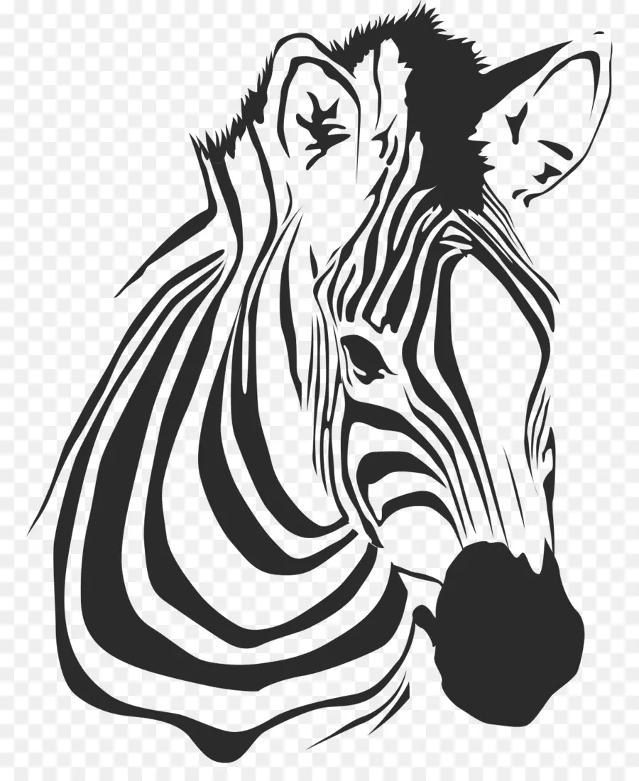 Zebra Kafası，Zebra PNG