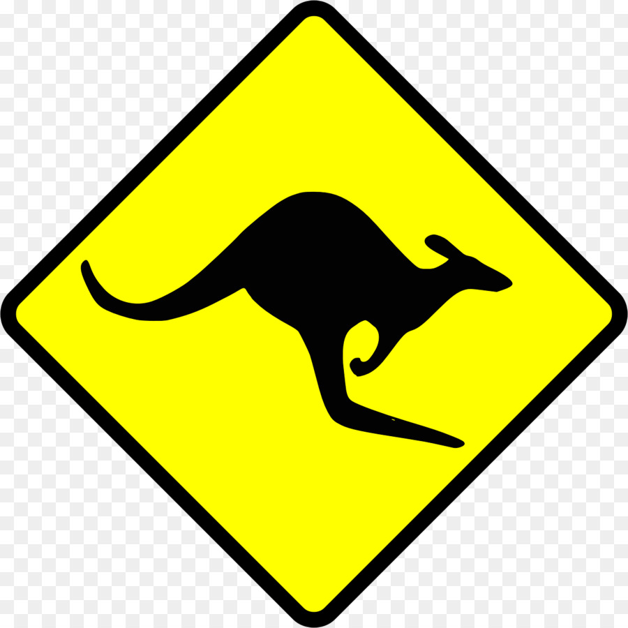 Kırmızı Kanguru，Kanguru PNG