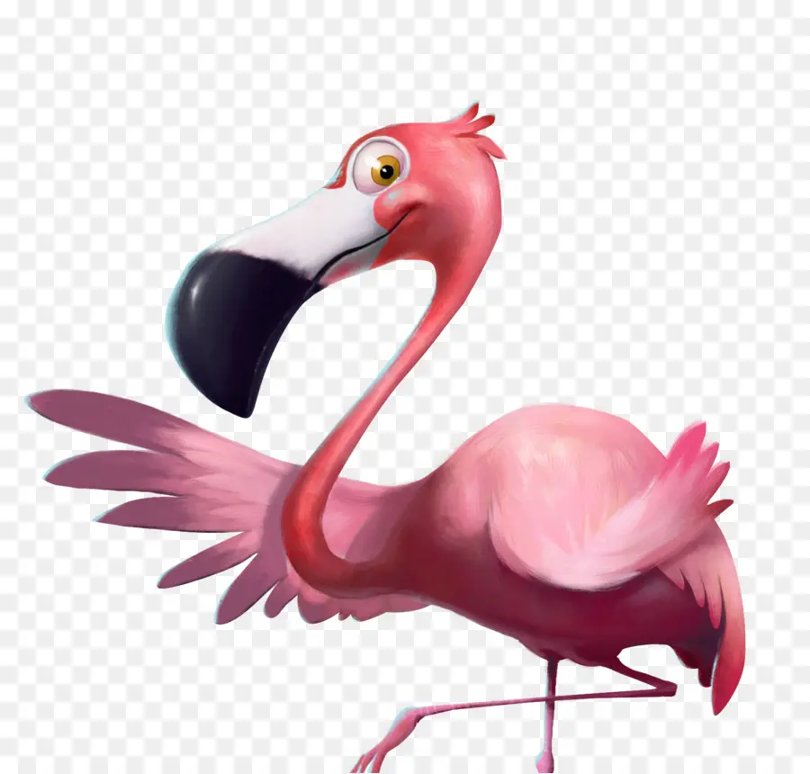 Pembe Flamingo，Kuş PNG