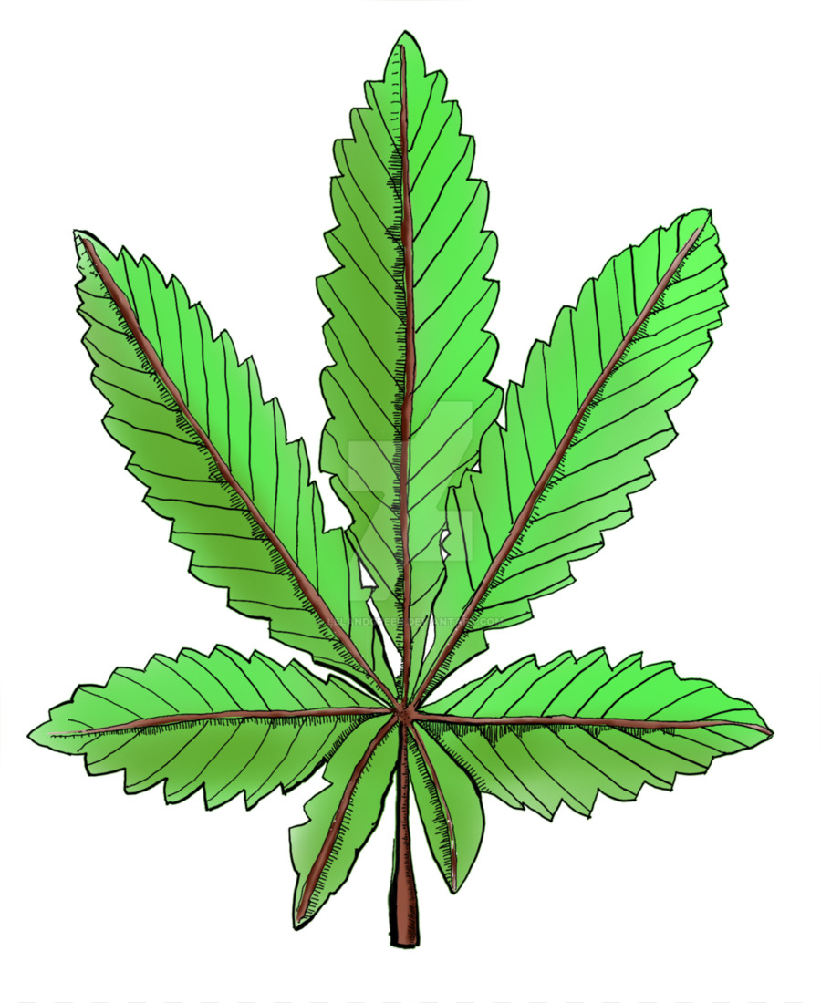 Esrar，Cannabaceae PNG