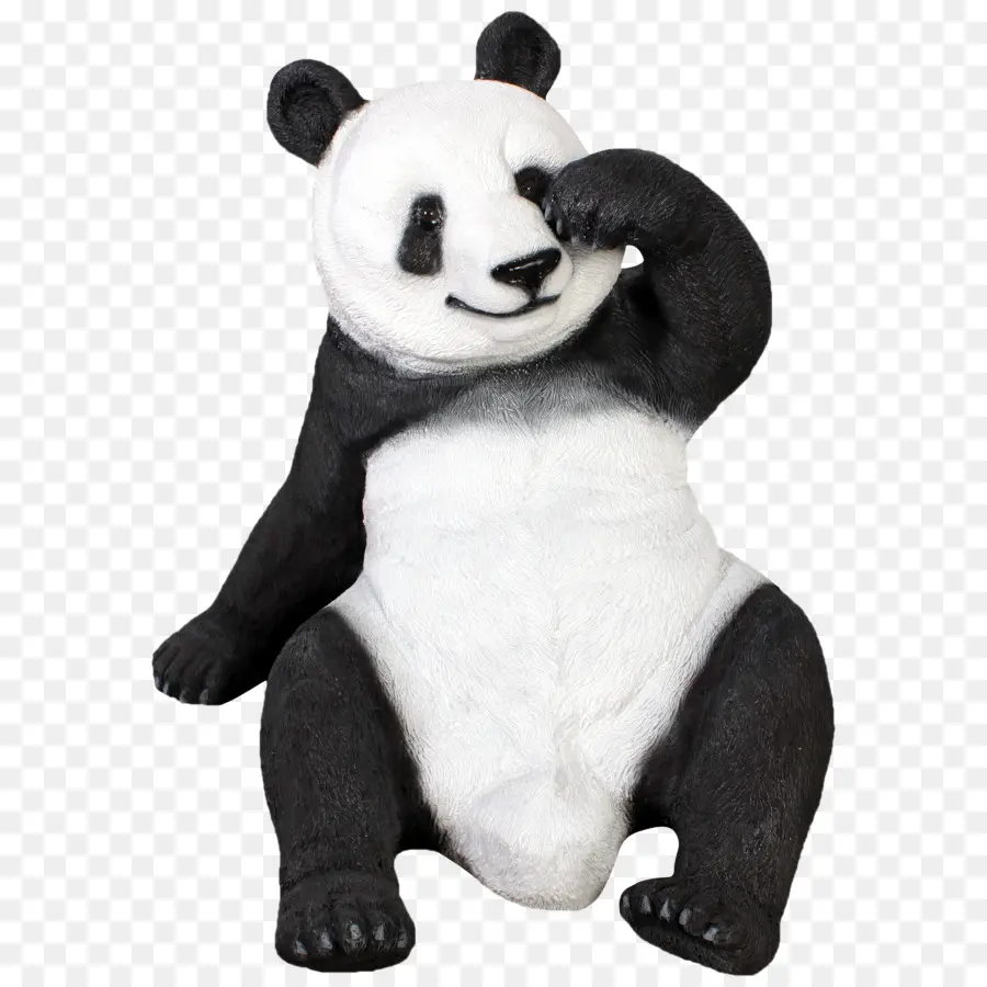 Panda，Ayı PNG