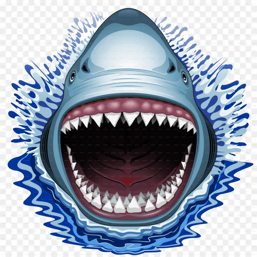 Köpekbalığı Jaws，Köpekbalığı PNG