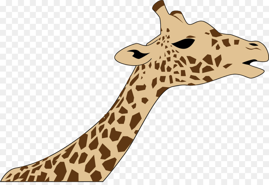 Kuzey Zürafa，Batı Afrika Zürafa PNG