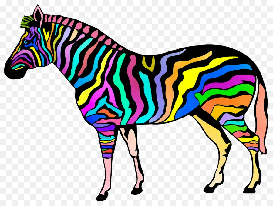 Renkli Zebra，Zebra PNG