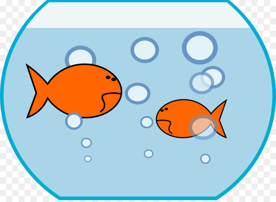 Akvaryum Balığı，Akvaryum PNG