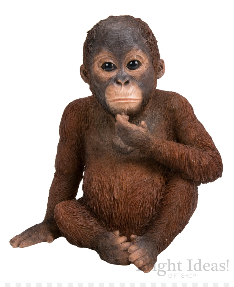 Orangutan，Sanat PNG