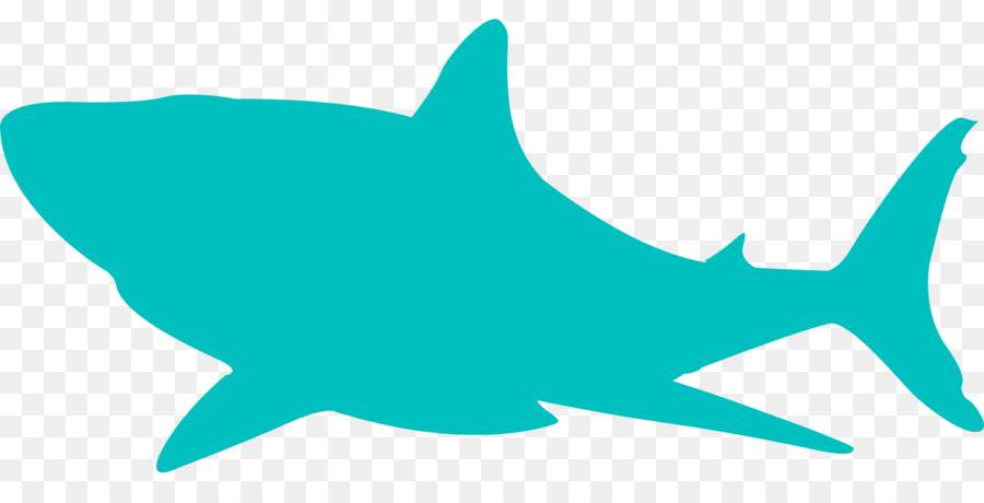 Köpekbalığı Jaws，Köpekbalığı PNG