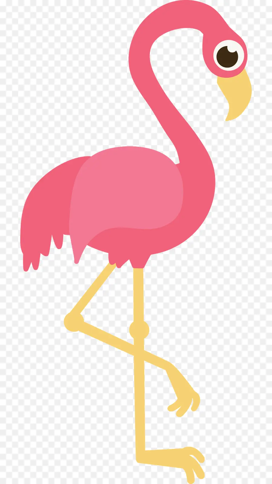 Flamingo，Sunum PNG