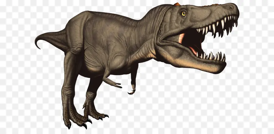 Jurassic Park Iii Park Builder，Tyrannosaurus Rex PNG