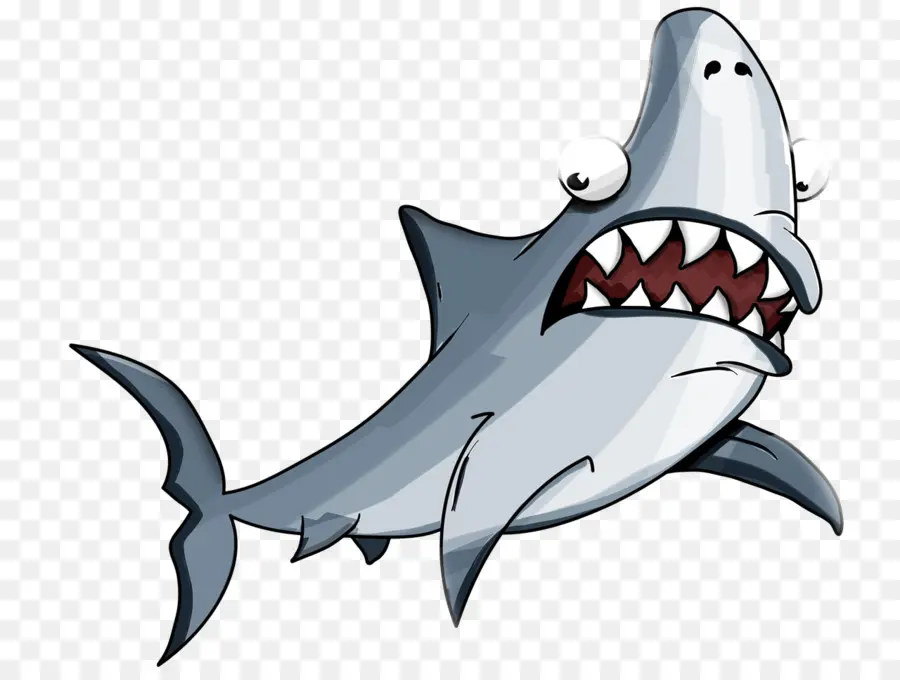 Köpekbalığı，Köpekbalığı Gerçekler PNG