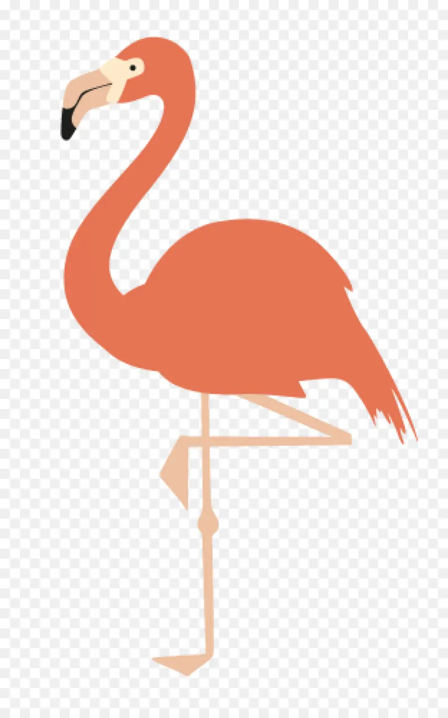 Pembe Flamingo，Bacaklar PNG