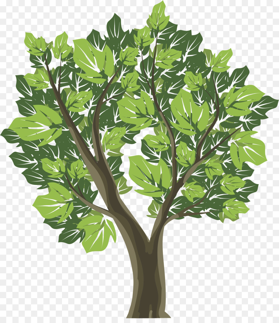 Bonsai Ağacı，Ağaç PNG