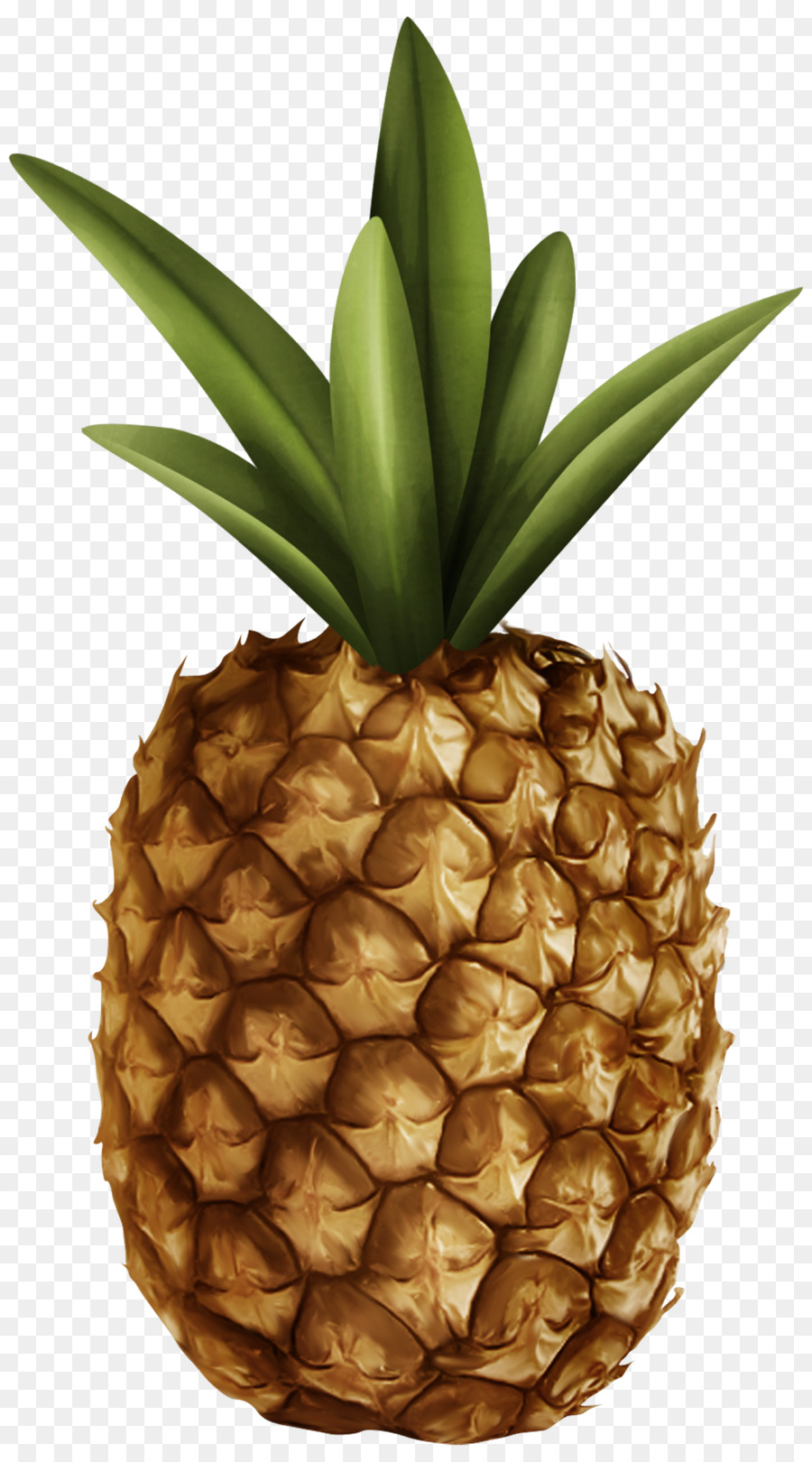 Mavi Ananas，Meyve PNG