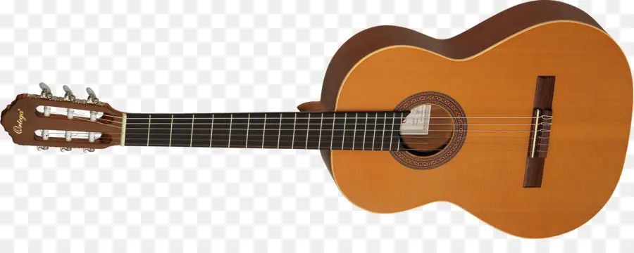 Taylor Gitarları，Gitar PNG