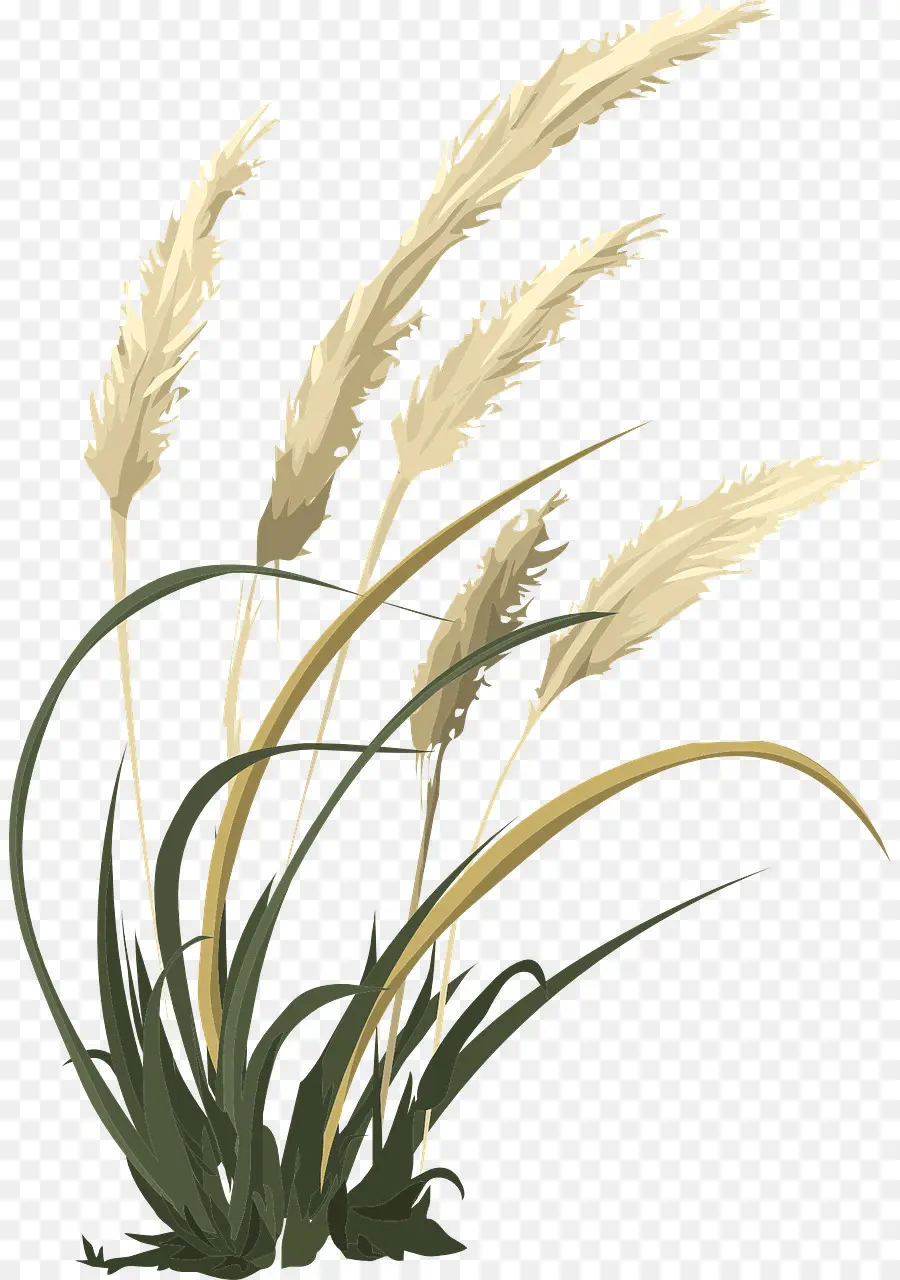 Tarım，Buğday çimi PNG
