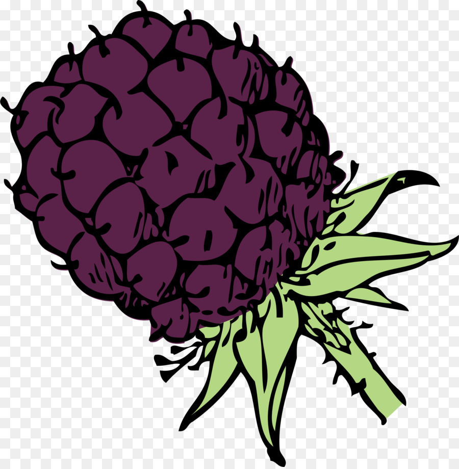 Blackberry Güveç，Böğürtlen PNG