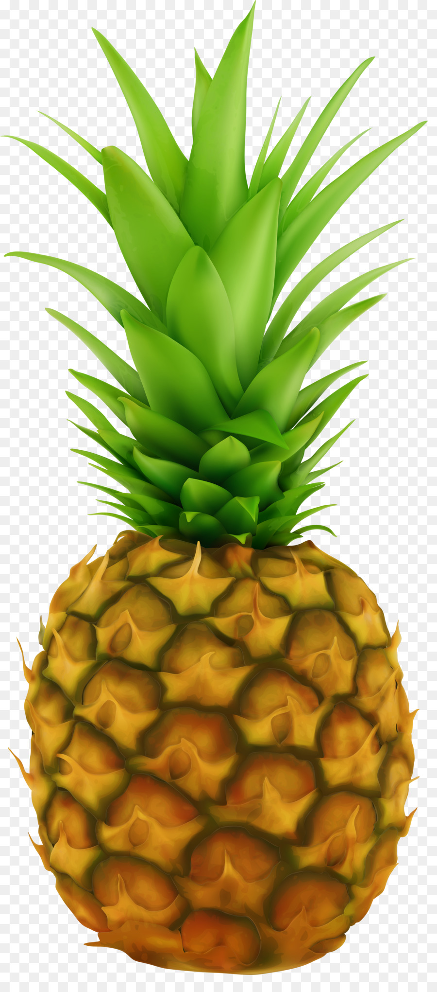 Mavi Ananas，Meyve PNG