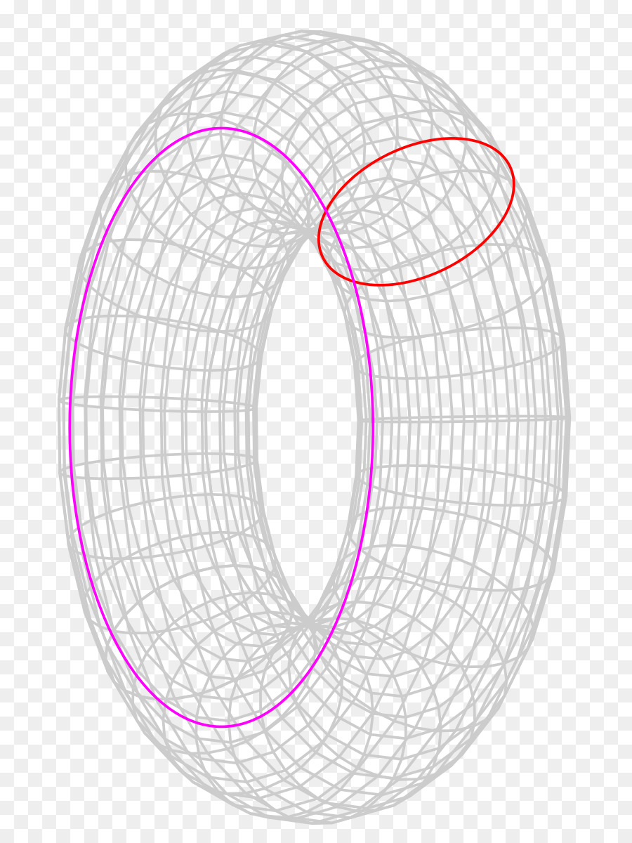 Torus，Daire PNG