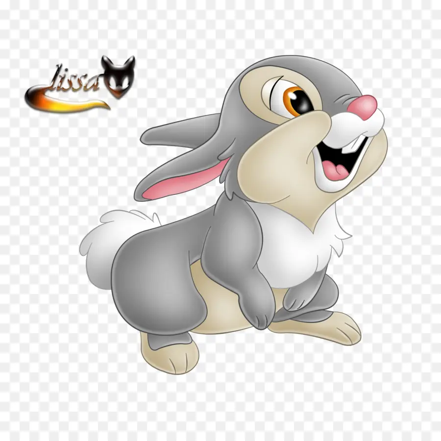 Tavşan，Kartpostal PNG