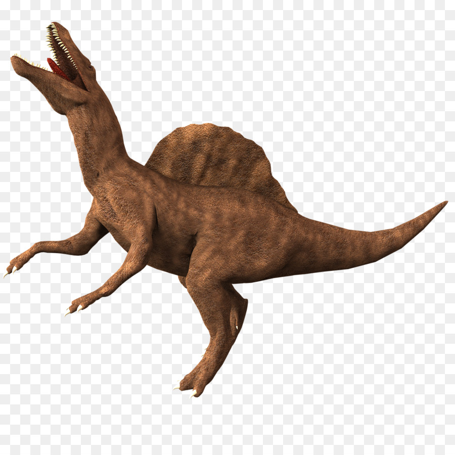 Spinosaurus，Dinozorlar PNG